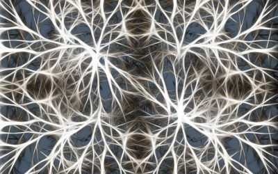 Neurocoaching: La herramienta clave para reducir gastos en la empresa